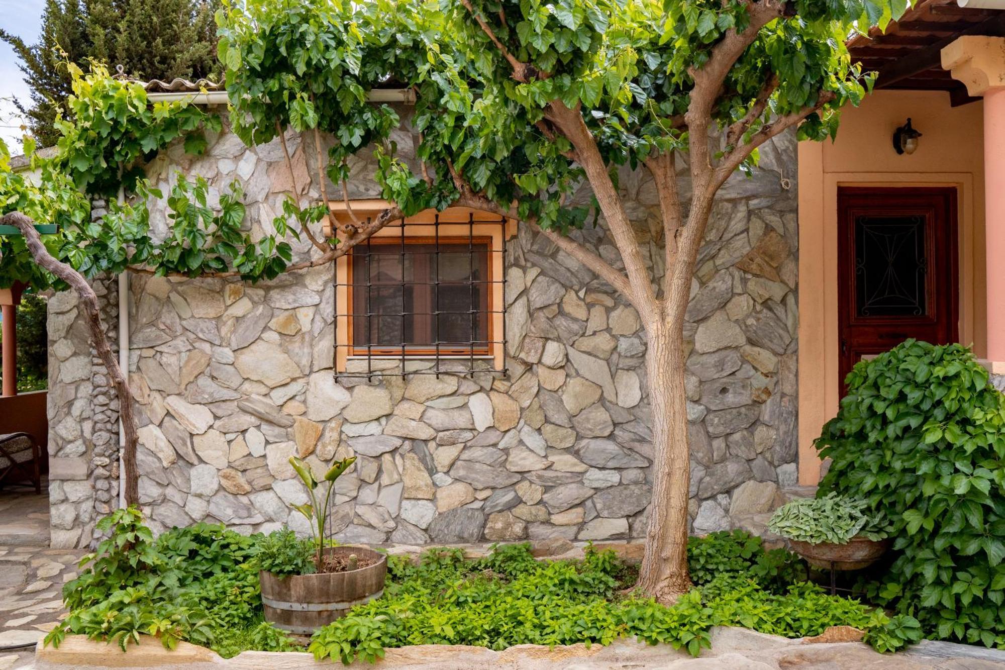Dm Elegant And Charming Villa Foinikiá Exterior foto